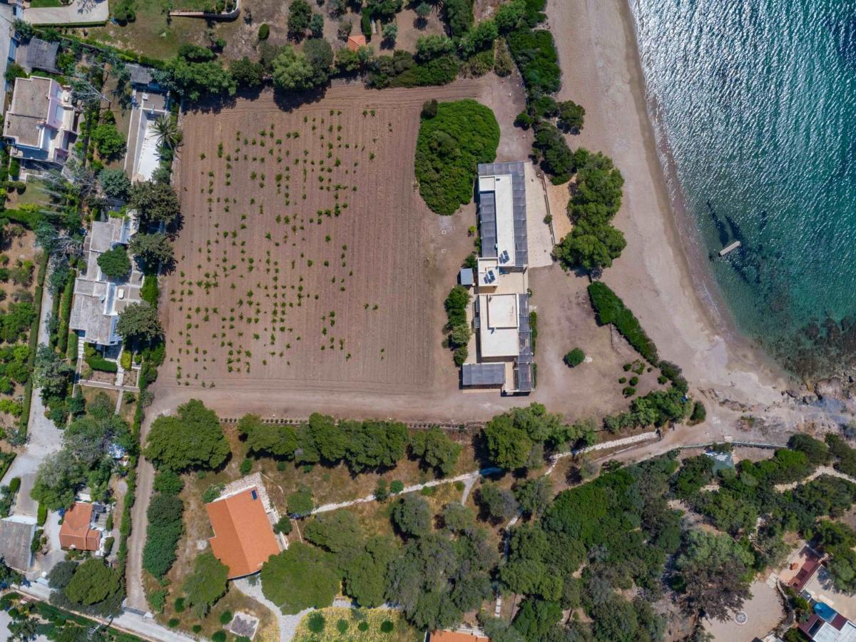 Black Diamond Beachfront Pool Villa Pasithea In Sounio, Athens Суніон Екстер'єр фото